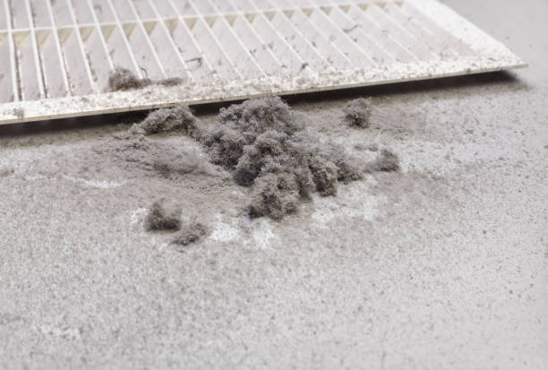 Best Residential Air Duct Cleaning  in Lanse, MI