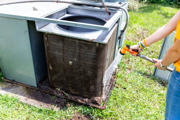 Best Duct Cleaning Specialists  in Lanse, MI