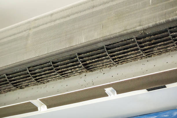 Best Professional Duct Cleaning Services  in Lanse, MI