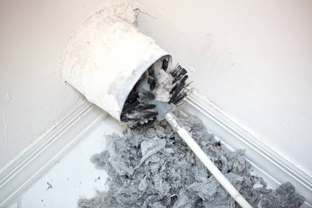 Best Air Duct Inspection  in Lanse, MI