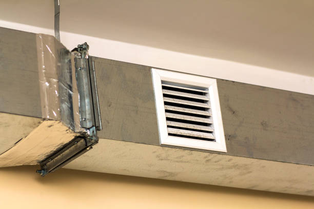 Best HVAC Air Duct Cleaning  in Lanse, MI